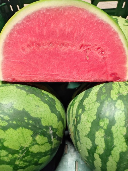 Wassermelone 1 Kg